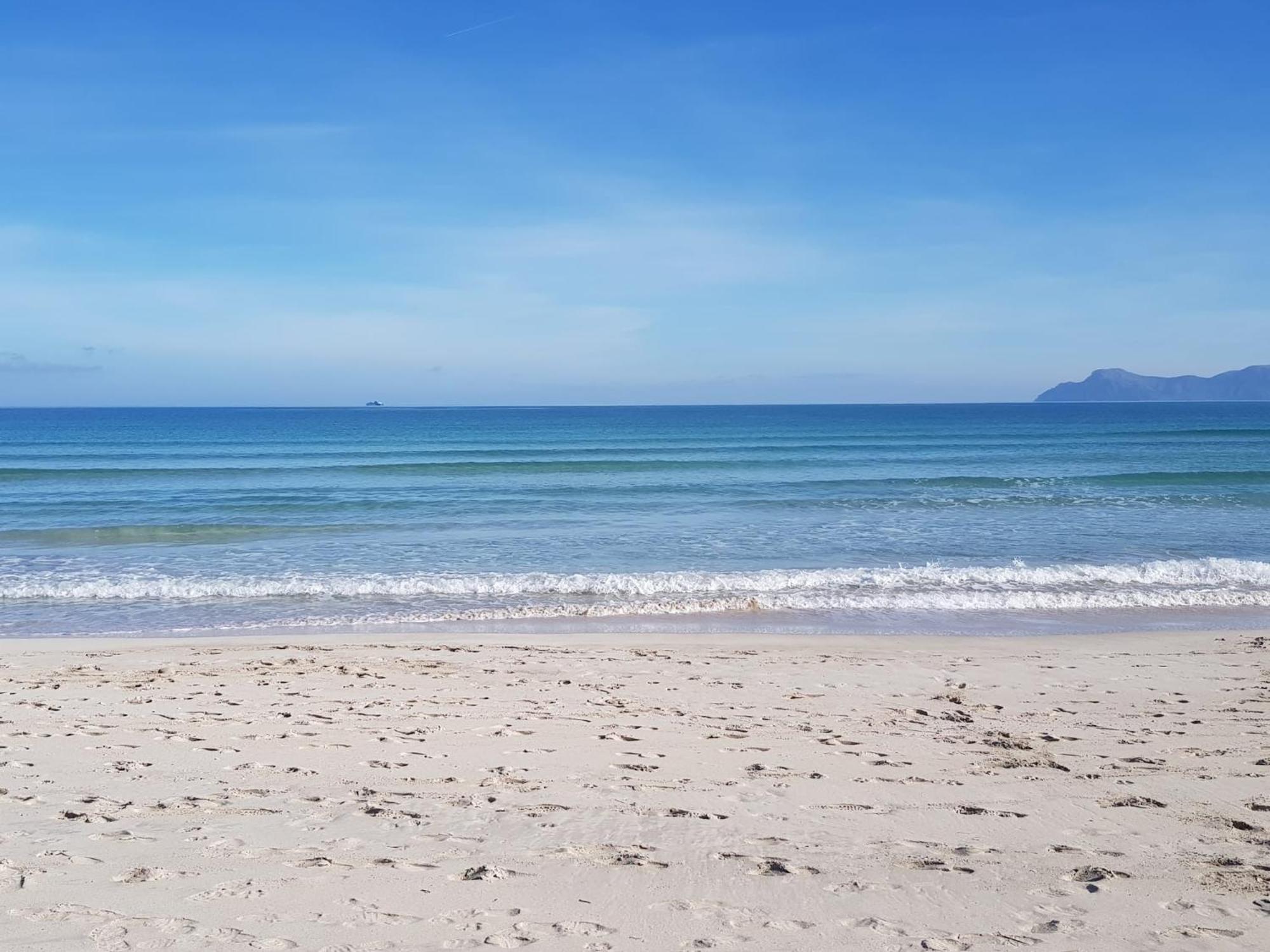 Ideal Property Mallorca - Sa Vinya Vella 알쿠디아 외부 사진